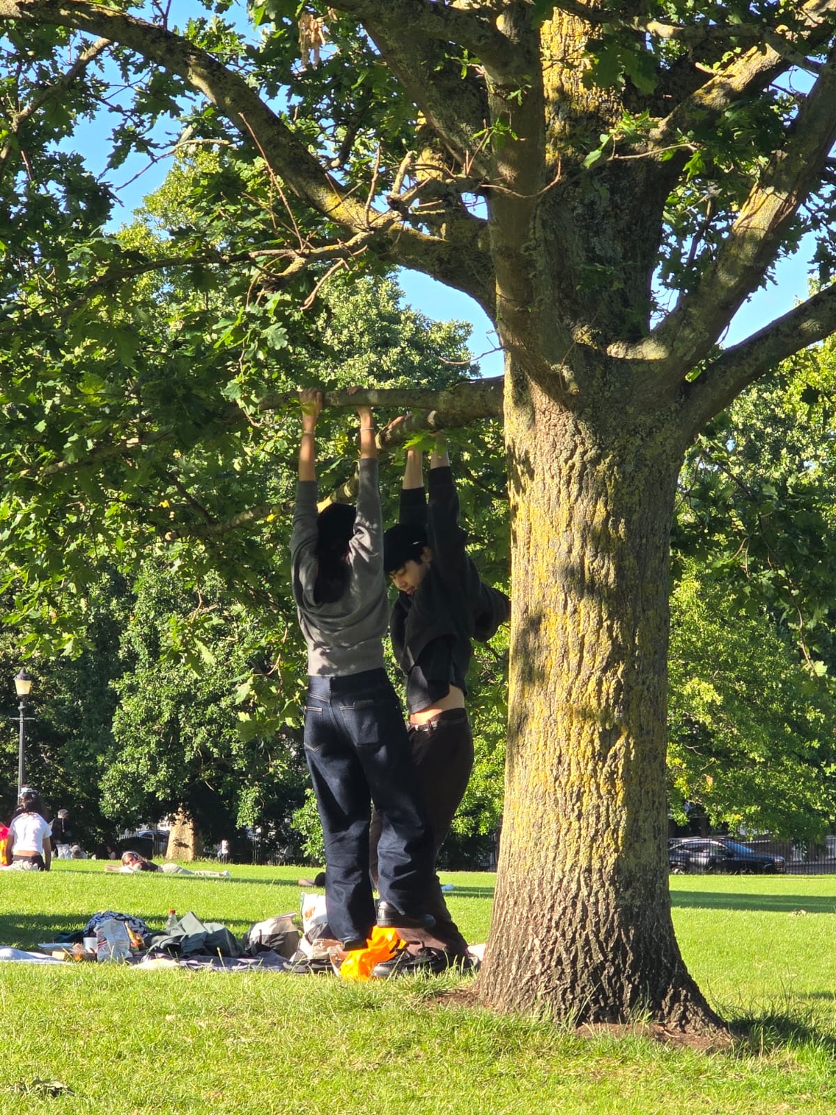 The two of us hanging from a tree branch in the park on a sunny day